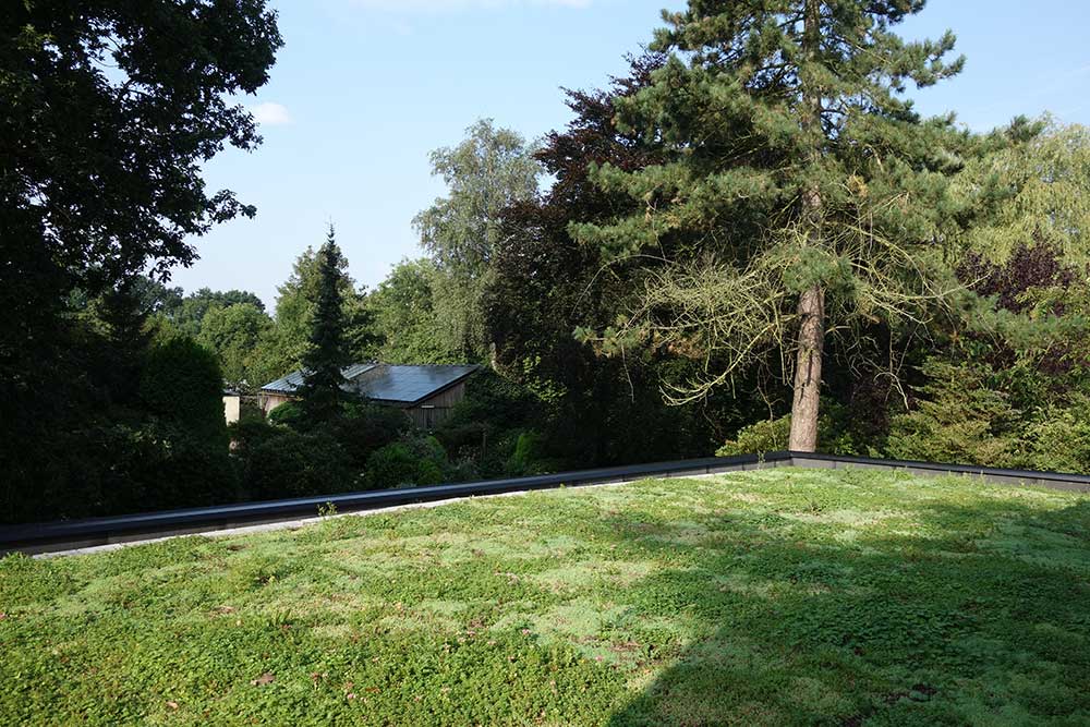 Koeleman Bouw Groene daken