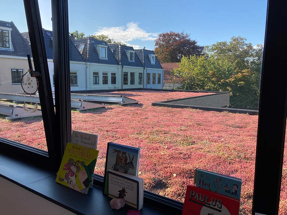 Koeleman Bouw Zonnepanelen