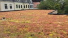 Koeleman Bouw aanbouw volledige renovatie Woelwaterlaan Voorschoten